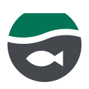 钓鱼
